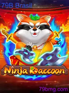 NinjaRaccoon